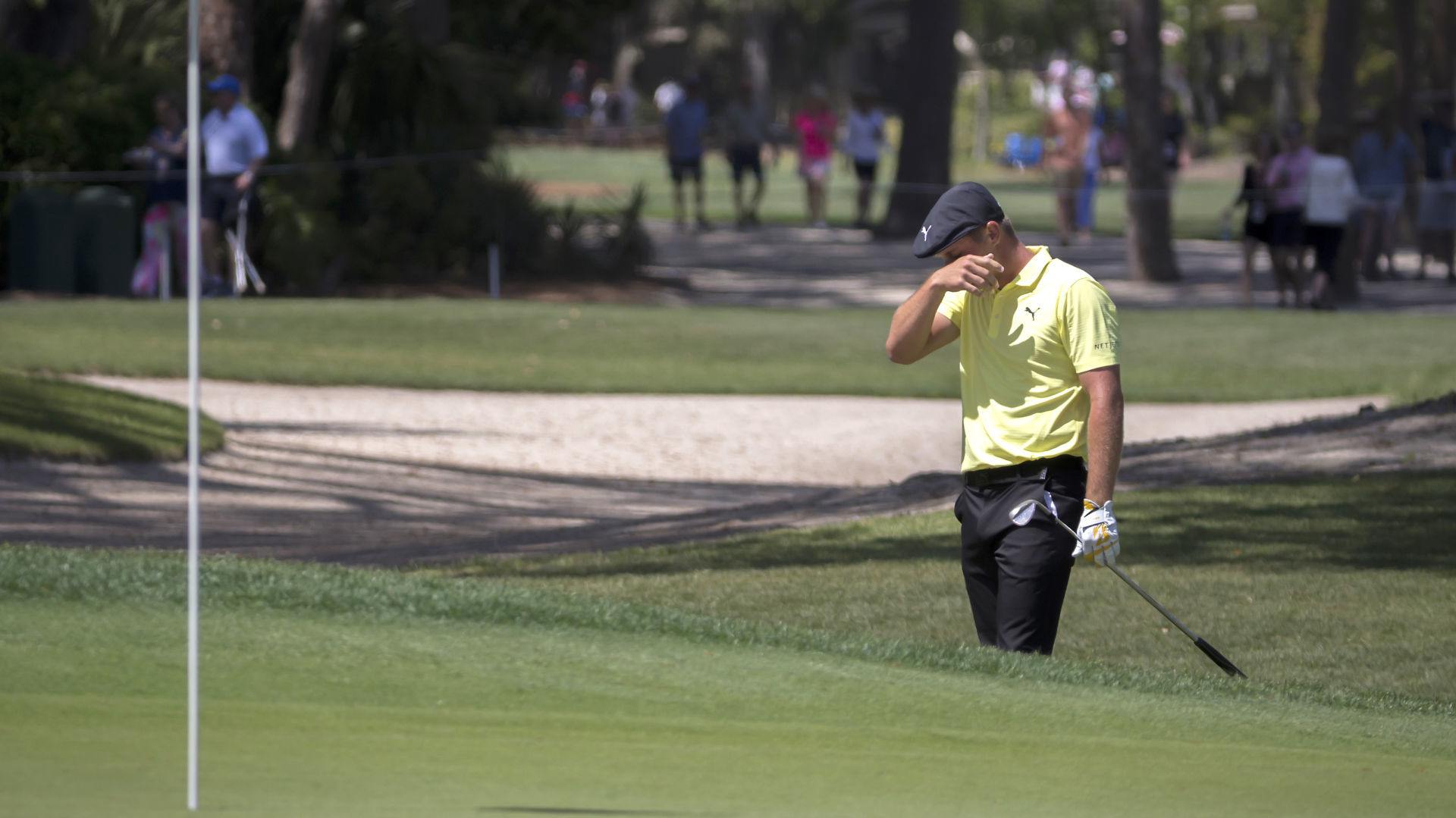 RBC Heritage Golf